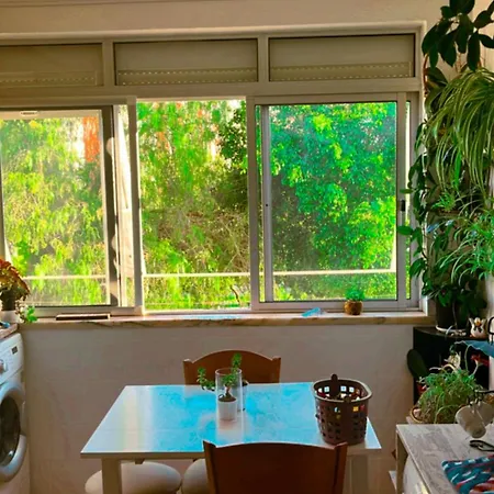Apartamento Com Boa Luz E Localizacao Em Lisboa. Apartment