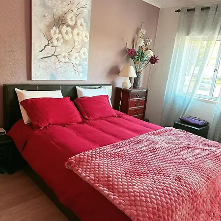 Apartment Apartamento Com Boa Luz E Localizacao Em Lisboa. Lisbon